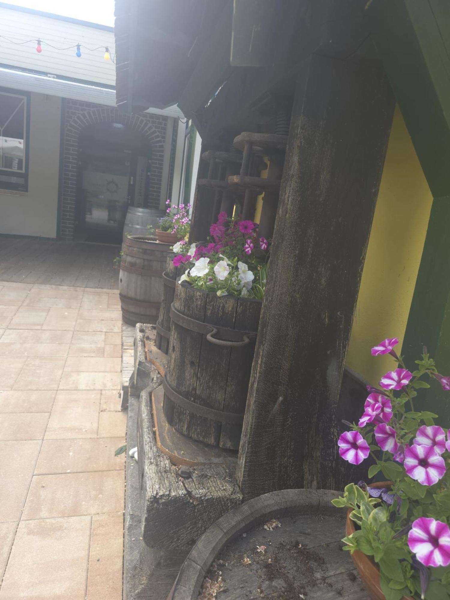Gasthof Zum Schiffmeister Wesenufer Extérieur photo